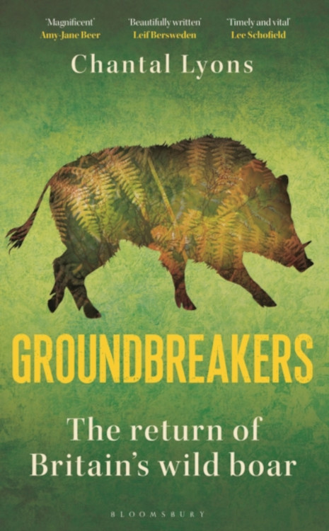 GROUNDBREAKERS: THE RETURN OF BRITAIN'S WILD BOAR