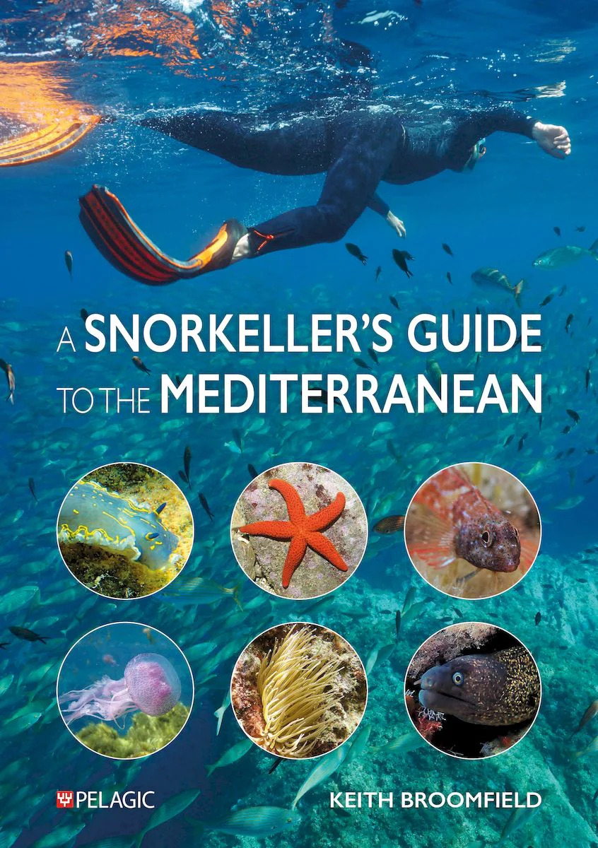 A SNORKELLER'S GUIDE TO THE MEDITERRANEAN. A PHOTOGRAPHIC ID GUIDE TO THE MOST COMMONLY ENCOUNTERED MARINE SPECIES