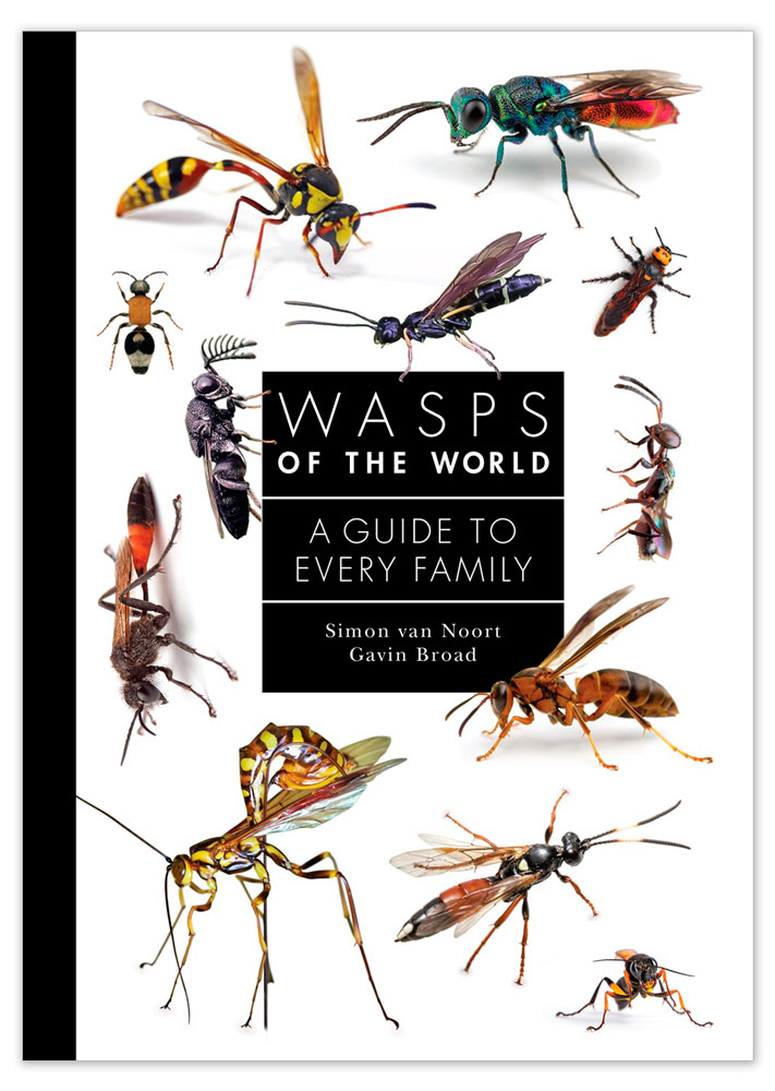 WASPS OF THE WORLD. A GUIDE TO EVERY FAMILY