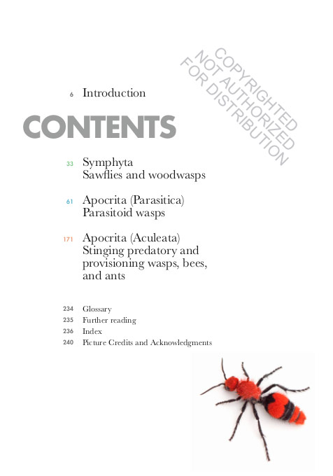 WASPS OF THE WORLD. A GUIDE TO EVERY FAMILY 2