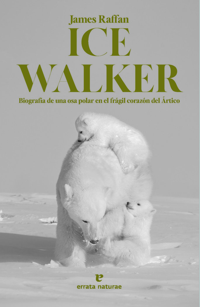 ICE WALKER, BIOGRAFÍA DE UNA OSA POLAR EN EL FRÁGIL CORAZÓN DEL ÁRTICO 1