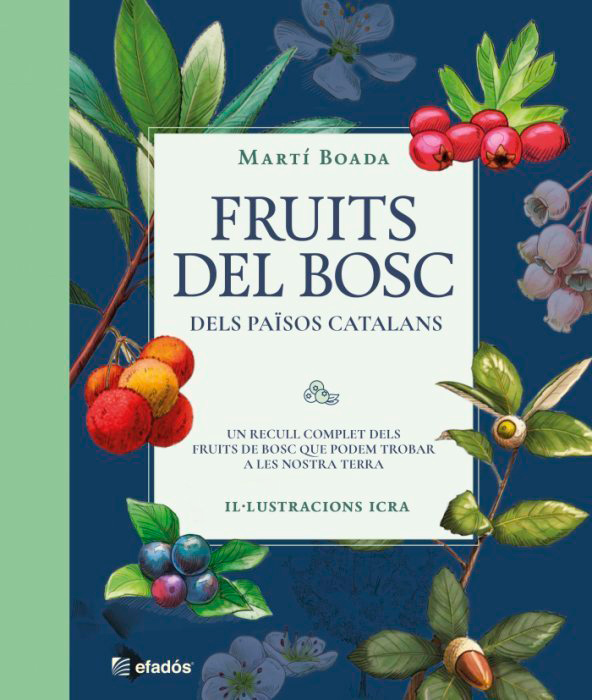 FRUITS DEL BOSC, DELS PAÏSOS CATALANS 1