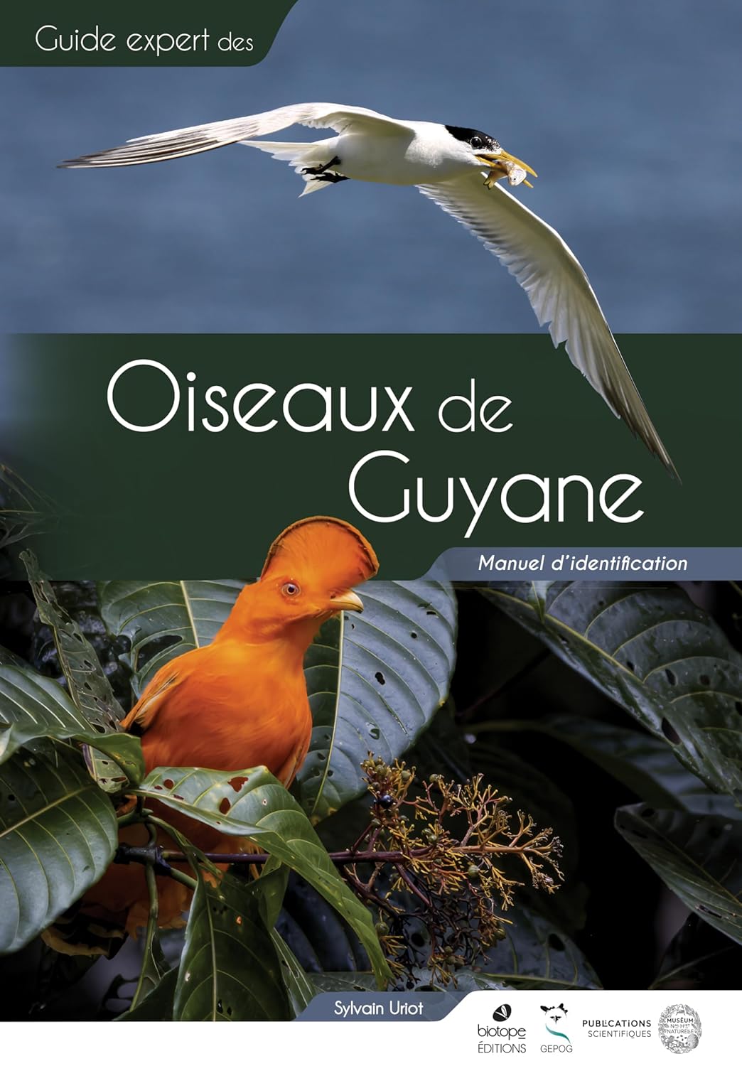OISEAUX DE GUYANE, MANUEL D'IDENTIFICATION 1