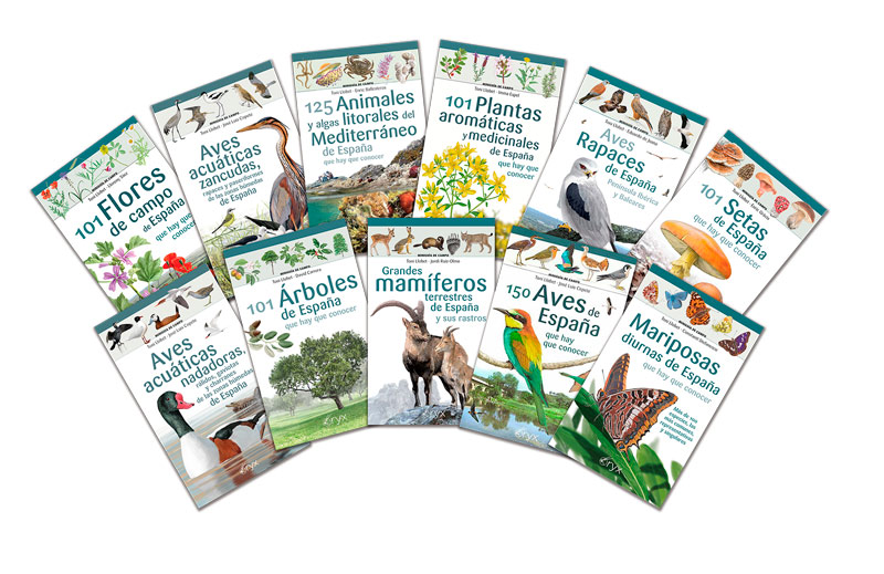 COLECCIÓN DE MINIGUÍAS DE CAMPO PARA LOS AMANTES DE LA FLORA, LA FAUNA Y LA NATURALEZA DE ESPAÑA 1