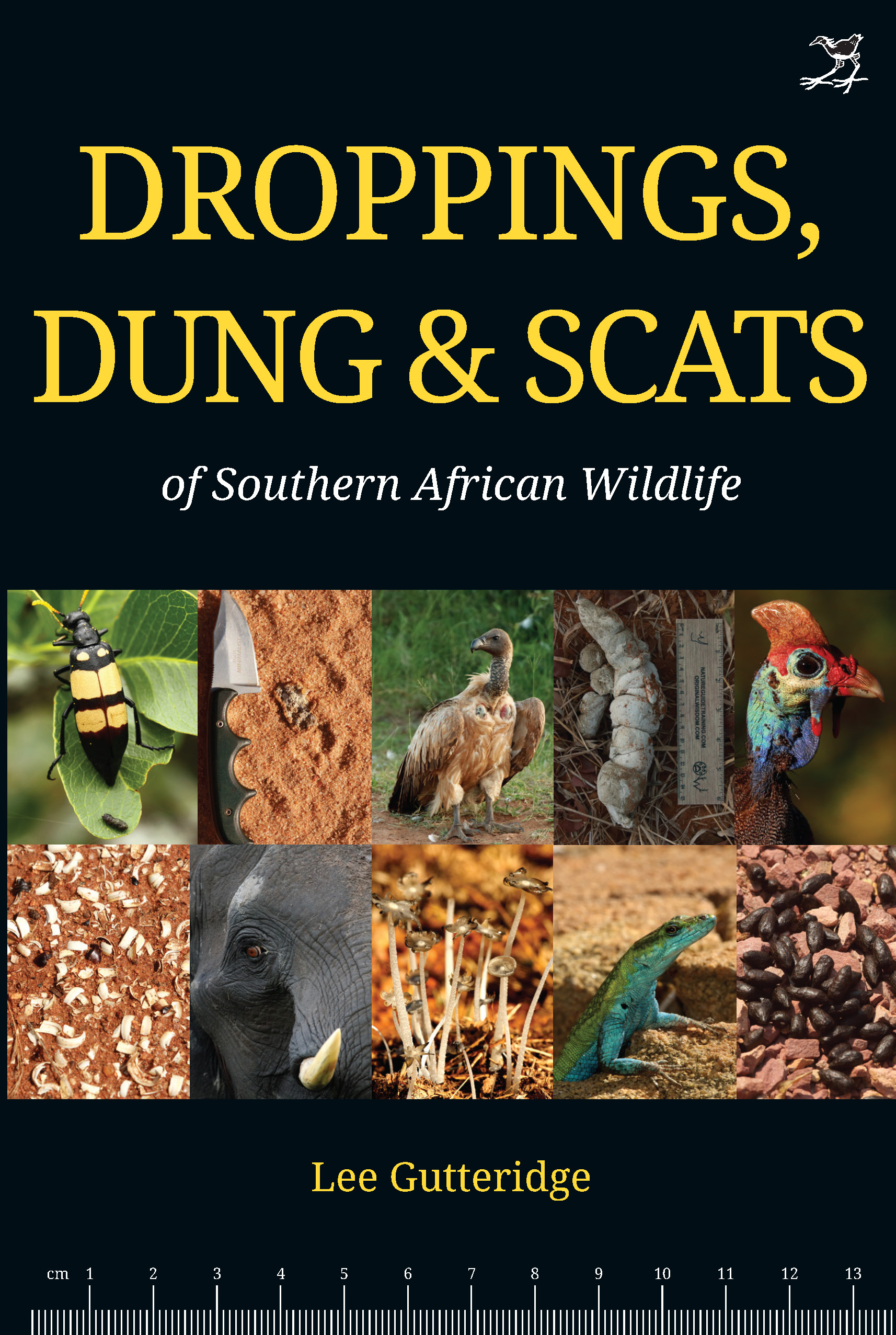 DROPPINGS, DUNG 6 SCATS OF SOUTHERN AFRICAN WILDLIFE