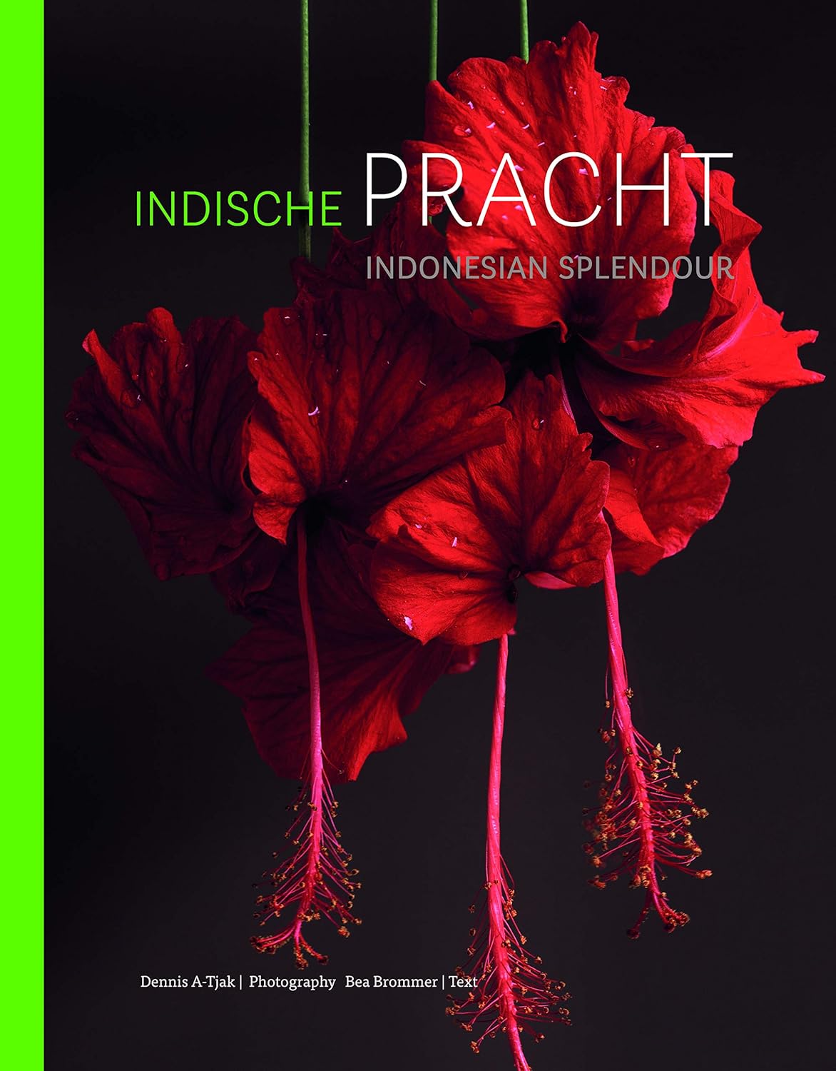 INDONESIAN SPLENDOR. FOUR CENTURIES OF FASCINATION FOR THE FLORA OF INDONESIA