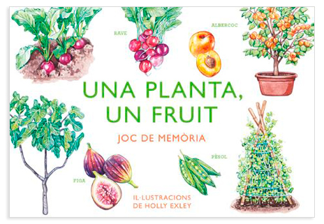 UNA PLANTA UN FRUIT
