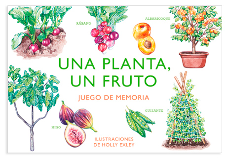 UNA PLANTA UN FRUTO