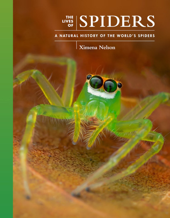 THE LIVES OF SPIDERS: A NATURAL HISTORY OF THE WORLD'S SPIDERS