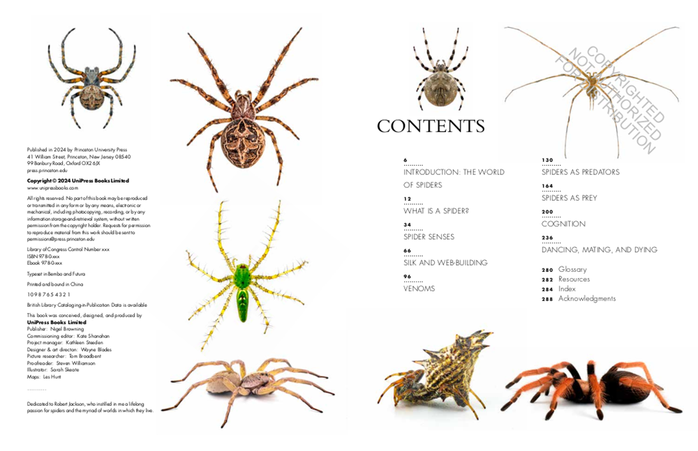 THE LIVES OF SPIDERS: A NATURAL HISTORY OF THE WORLD'S SPIDERS 3