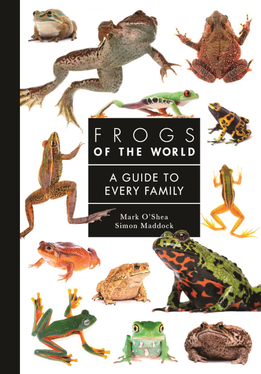FROGS OF THE WORLD. A GUIDE TO EVERY FAMILY