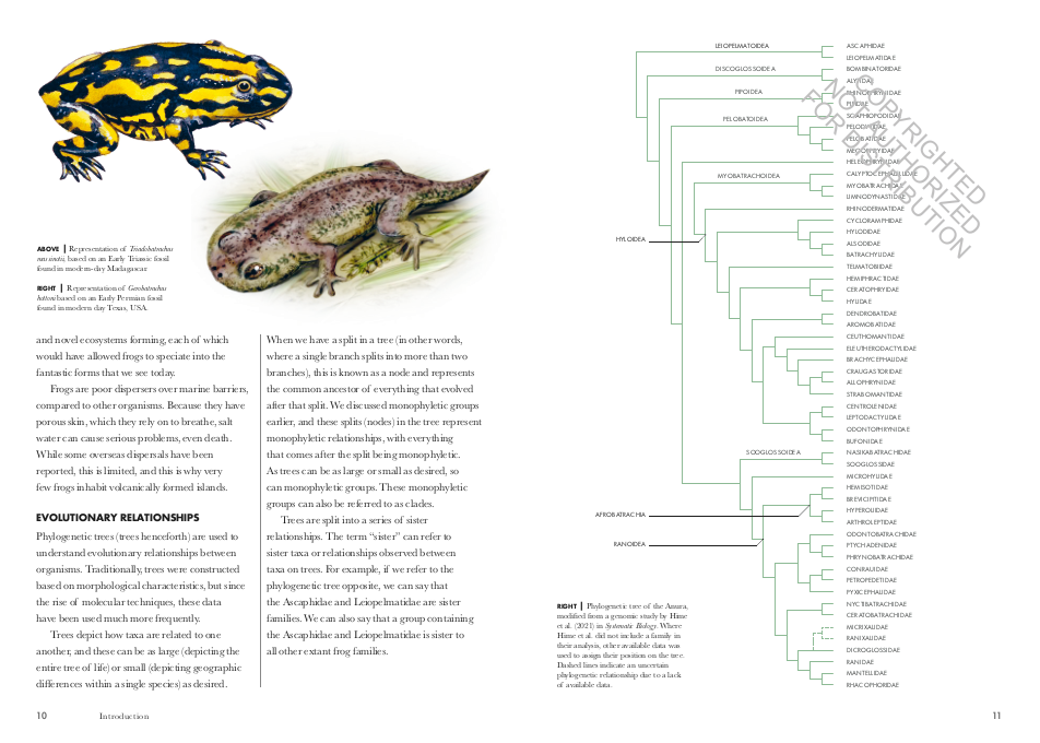 FROGS OF THE WORLD. A GUIDE TO EVERY FAMILY 2