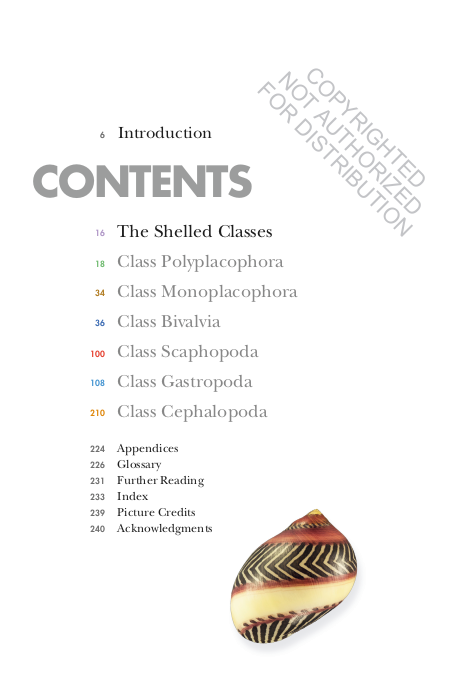 SHELLS OF THE WORLD. A NATURAL HISTORY 4