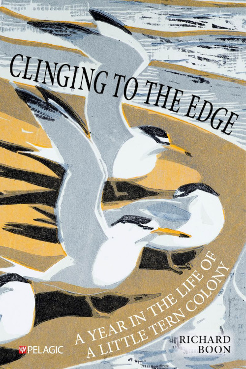 CLINGING TO THE EDGE. A YEAR IN THE LIFE OF A LITTLE TERN COLONY