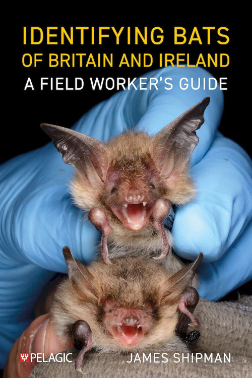 IDENTIFYING BATS OF BRITAIN AND IRELAND. A FIELD WORKER'S GUIDE 1