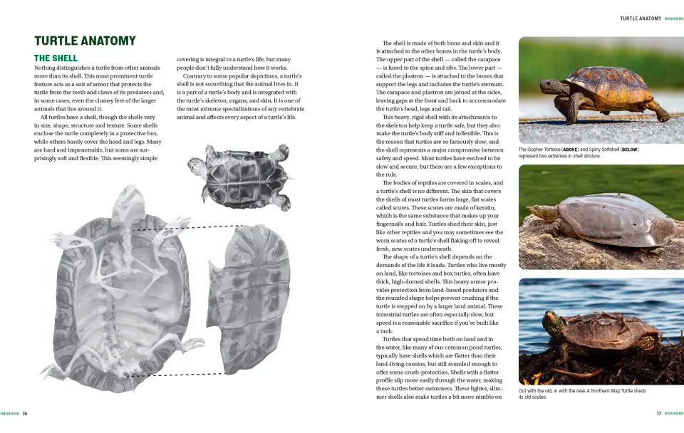 TURTLES OF NORTH AMERICA. AN ILLUSTRATED FIELD GUIDE TO THE TURTLES OF THE CONTINENTAL UNITED STATES AND CANADA 2