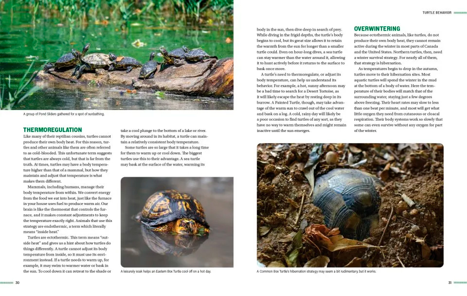 TURTLES OF NORTH AMERICA. AN ILLUSTRATED FIELD GUIDE TO THE TURTLES OF THE CONTINENTAL UNITED STATES AND CANADA 3