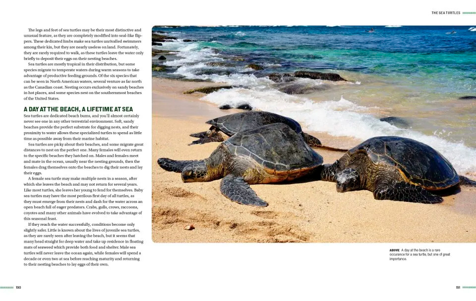 TURTLES OF NORTH AMERICA. AN ILLUSTRATED FIELD GUIDE TO THE TURTLES OF THE CONTINENTAL UNITED STATES AND CANADA 6