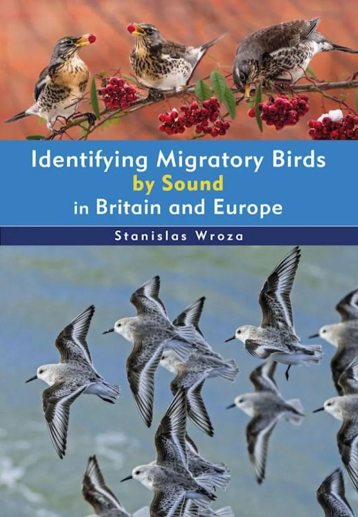 IDENTIFYING MIGRATORY BIRDS BY SOUND IN BRITAIN AND EUROPE 1