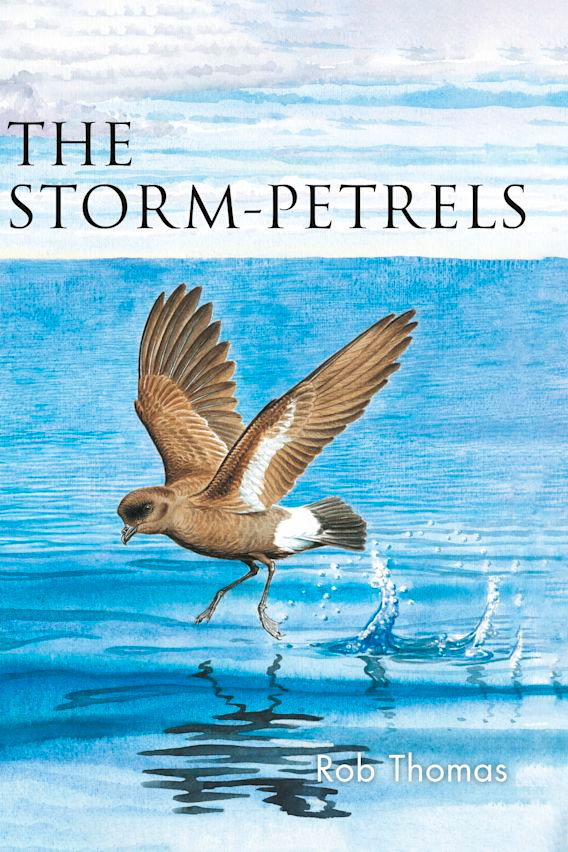 THE STORM-PETRELS