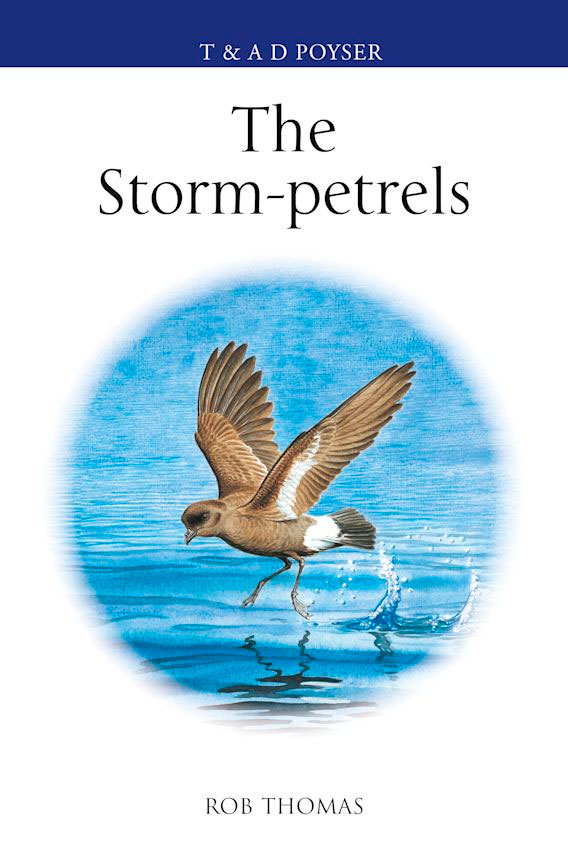 THE STORM-PETRELS 1