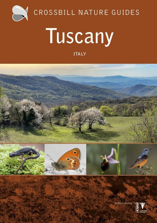 CROSSBILL GUIDE TUSCANY ITALY