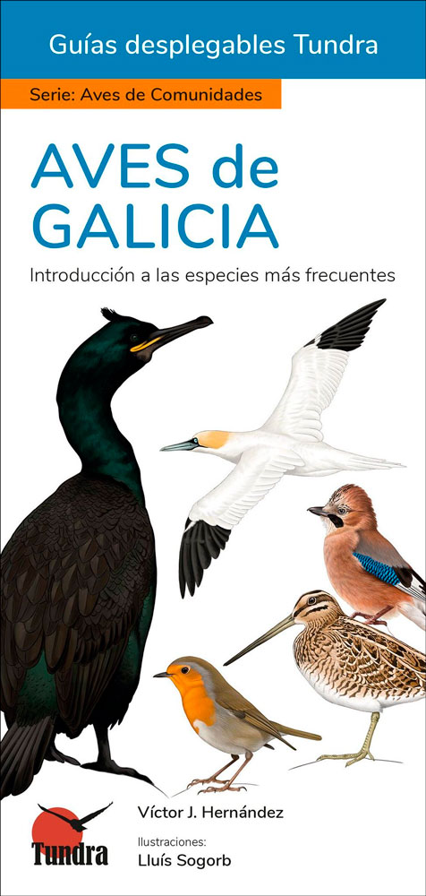 AVES DE GALICIA. INTRODUCCIÓN A LAS ESPECIES MÁS FRECUENTES. GUÍAS DESPLEGABLES TUNDRA
