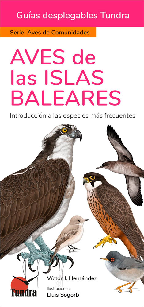 AVES DE LAS ISLAS BALEARES. INTRODUCCIÓN A LAS ESPECIES MÁS FRECUENTES. GUÍAS DESPLEGABLES TUNDRA