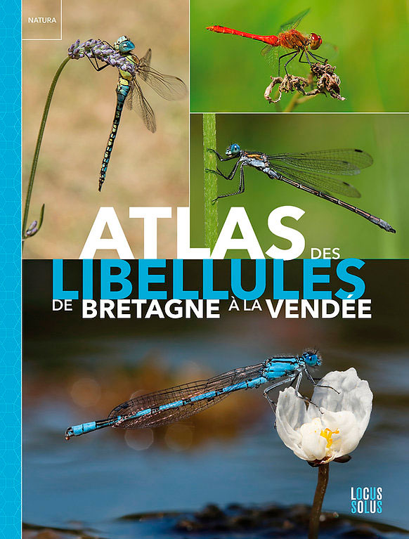 ATLAS DES LIBELLULES DE LA BRETAGNE À LA VENDÉ 1