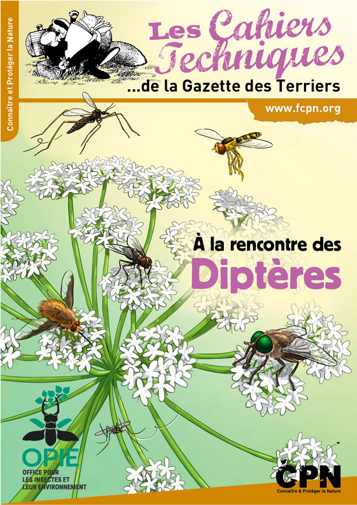À LA RENCONTRE DES DIPTÈRES. LES CAHIERS TECHNIQUES DE LA GAZETTE DES TERRIERS 1
