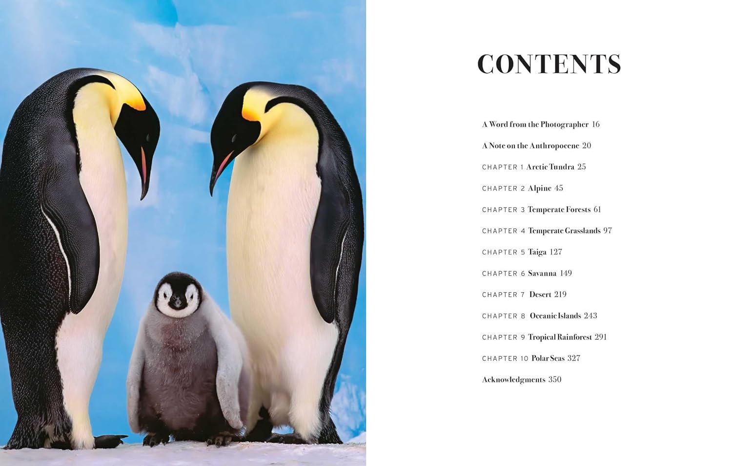 WILD LIVES. THE WORLD'S MOST EXTRAORDINARY WILDLIFE 2