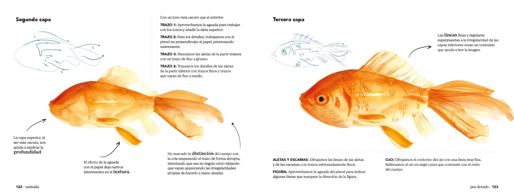 ANIMALIA TRAZO A TRAZO 5