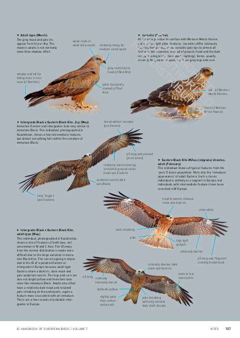 ID HANDBOOK OF EUROPEAN BIRDS (2-VOLUME SET) 3