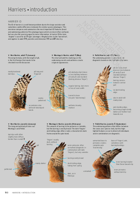 ID HANDBOOK OF EUROPEAN BIRDS (2-VOLUME SET) 4