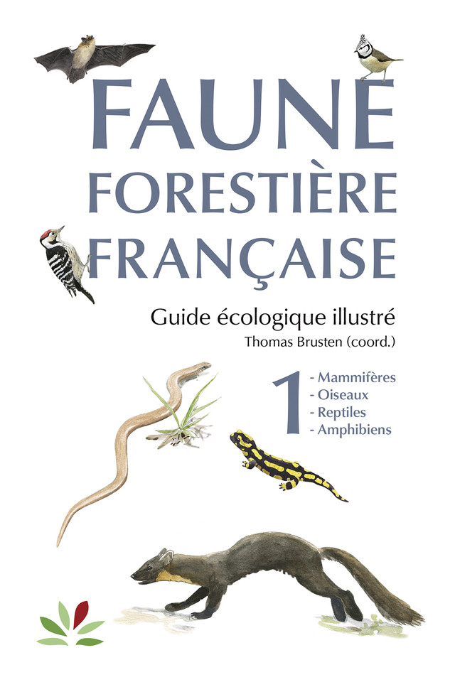 FAUNE FORESTIÈRE FRANÇAISE TOME 1 MAMMIFÈRES, OISEAUX, REPTILES, AMPHIBIENS 1