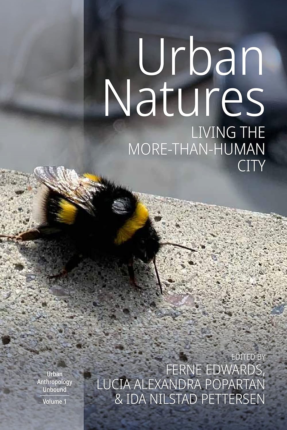 URBAN NATURES. LIVING THE MORE-THAN HUMAN CITY 1