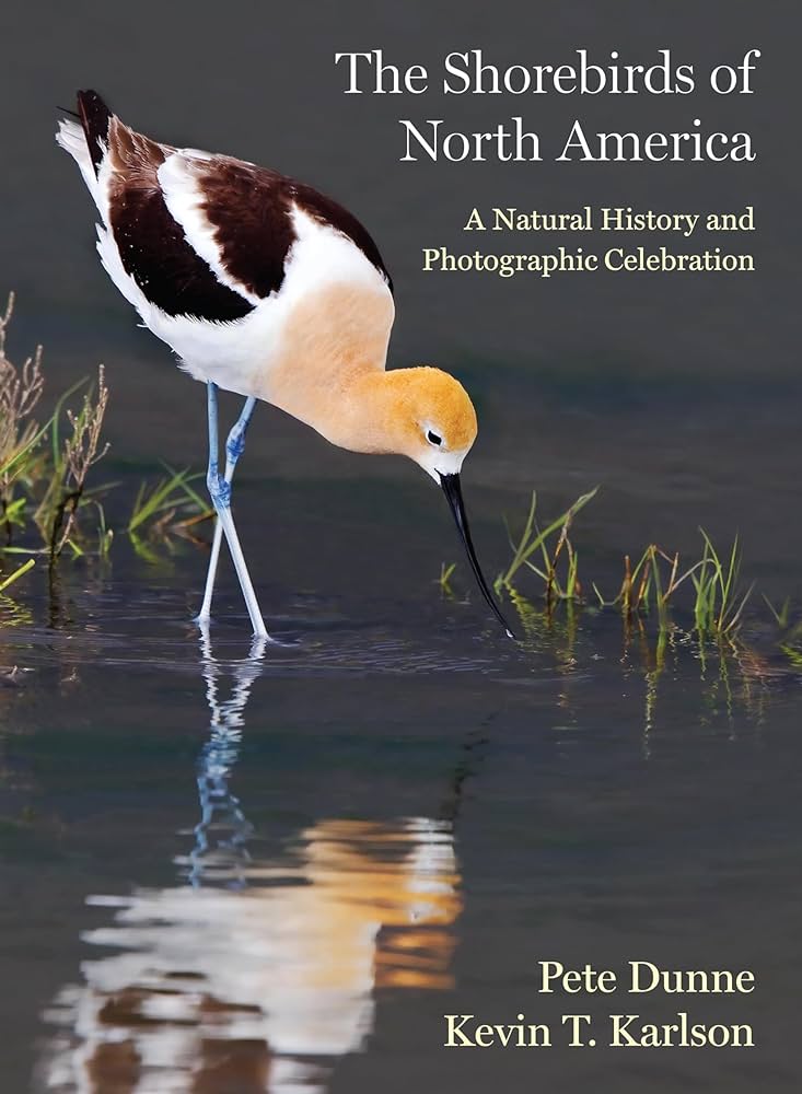 THE SHOREBIRDS OF NORTH AMERICA: A NATURAL HISTORY AND PHOTOGRAPHIC CELEBRATION