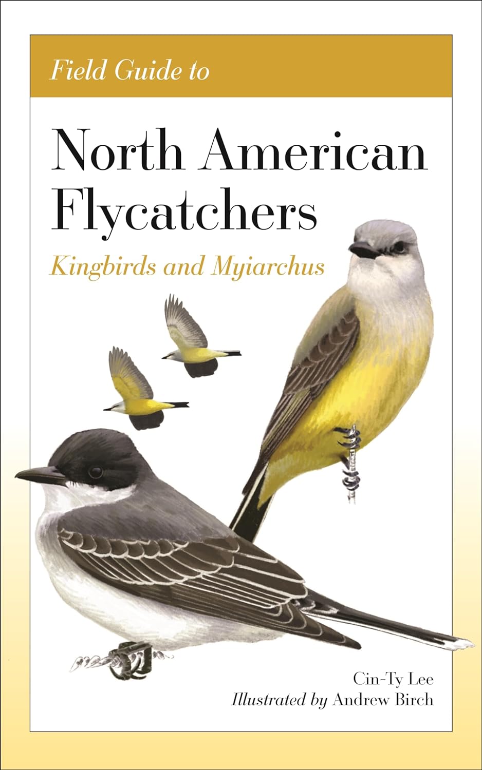 FIELD GUIDE TO NORTH AMERICAN FLYCATCHERS: KINGBIRDS AND MYIARCHUS