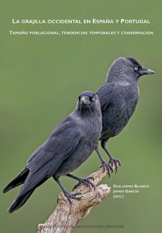LA GRAJILLA OCCIDENTAL EN ESPAÑA Y PORTUGAL TAMAÑO POBLACIONAL, TENDENCIAS TEMPORALES Y CONSERVACIÓN 1