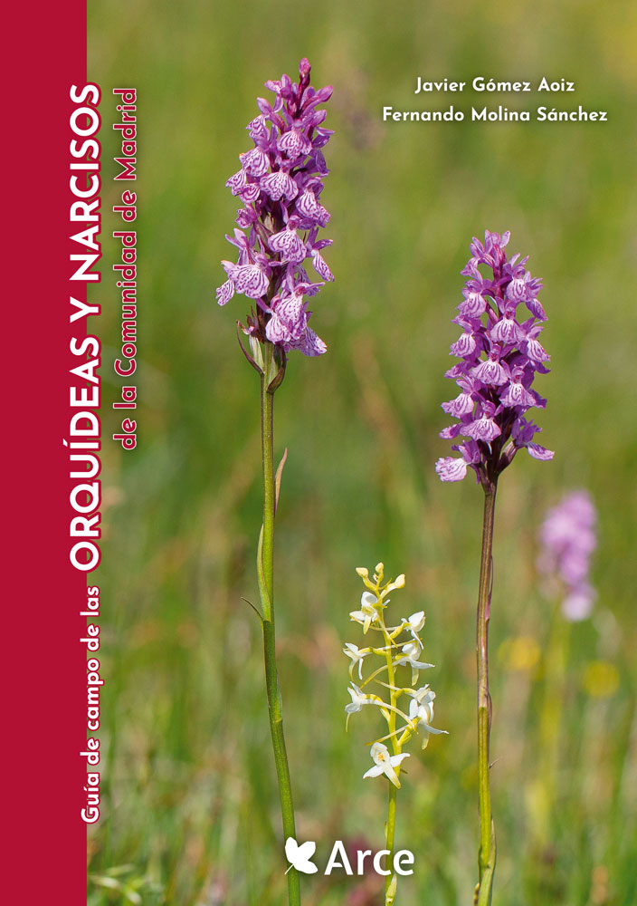 GUÍA DE CAMPO DE LAS ORQUÍDEAS Y NARCISOS DE LA COMUNIDAD DE MADRID 1