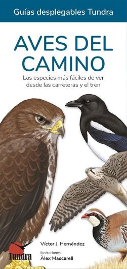 AVES DEL CAMINO. LAS ESPECIES MÁS FÁCILES DE VER DESDE LAS CARRETERAS Y EL TREN. GUÍAS DESPLEGABLES TUNDRA