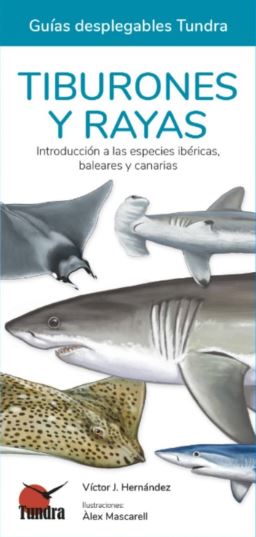 TIBURONES Y RAYAS. INTRODUCCIÓN A LAS ESPECIES IBÉRICAS, BALEARES Y CANARIAS. GUÍAS DESPLEGABLES TUNDRA