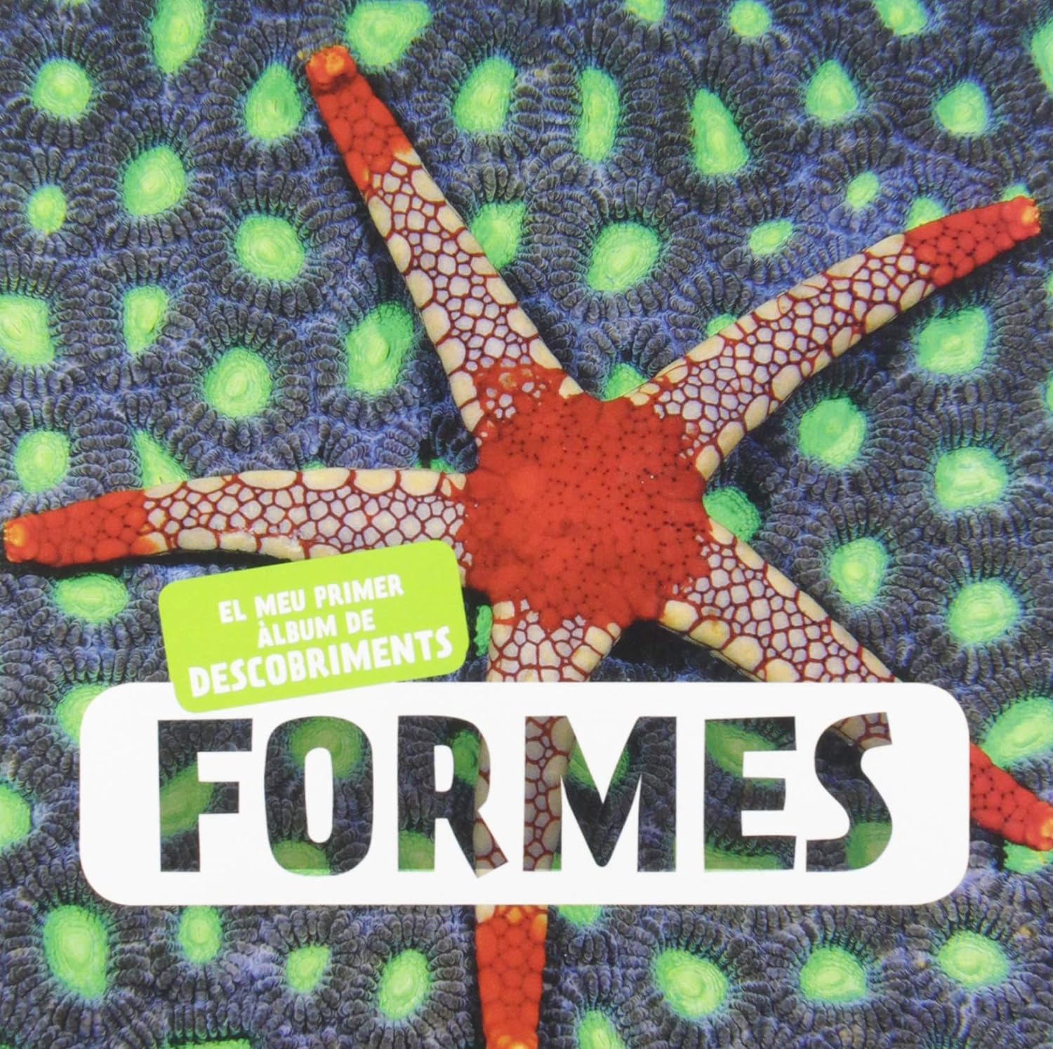 FORMES. EL MEU PRIMER ÀLBUM DE DESCOBRIMENTS 1
