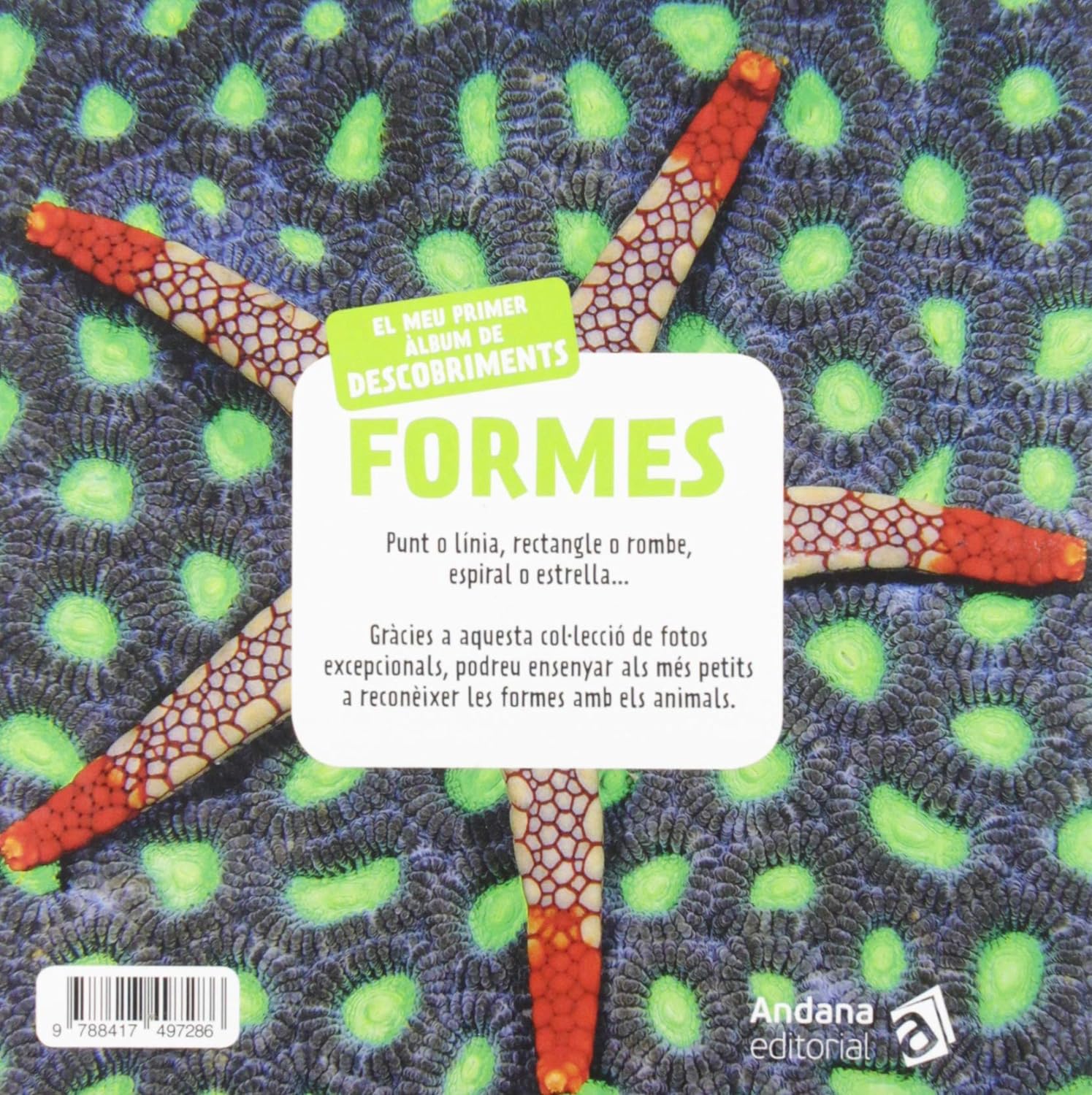 FORMES. EL MEU PRIMER ÀLBUM DE DESCOBRIMENTS 2