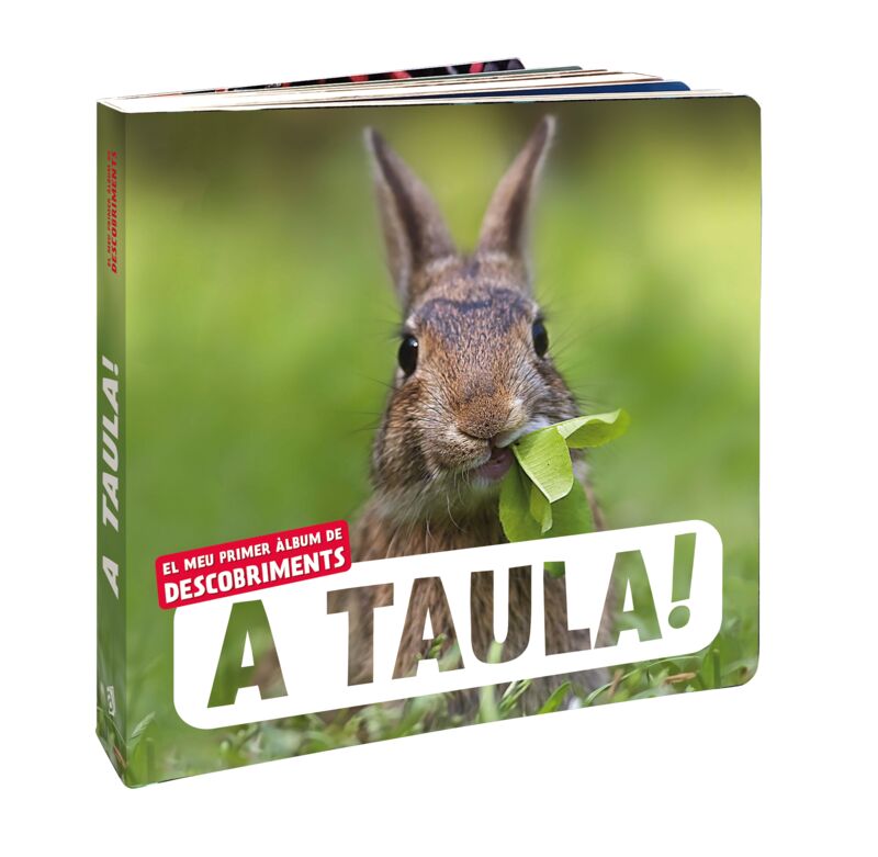 A TAULA! EL MEU PRIMER ÀLBUM DE DESCOBRIMENTS 1