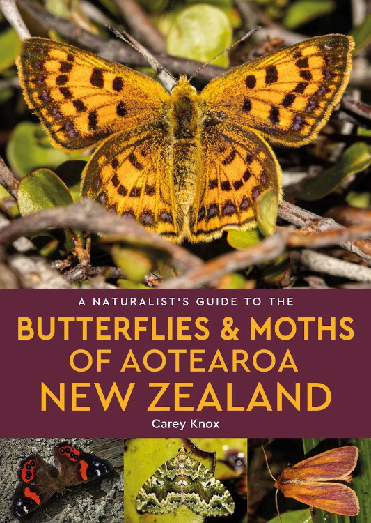 A NATURALIST'S GUIDE TO THE BUTTERFLIES & MOTHS OF NEW ZEALAND