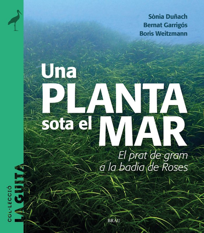 UNA PLANTA SOTA EL MAR. EL PRAT DE GRAM A LA BADIA DE ROSES