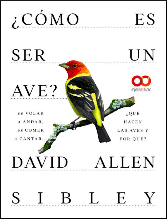 ¿CÓMO ES SER UN AVE? DE VOLAR A ANIDAR, DE COMER A CANTAR... ¿QUÉ HACEN LAS AVES Y POR QUÉ? 1