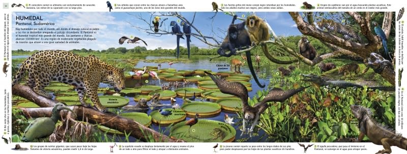 HÁBITATS DEL MUNDO. UN VIAJE POR LOS ECOSISTEMAS DE LA TIERRA 2