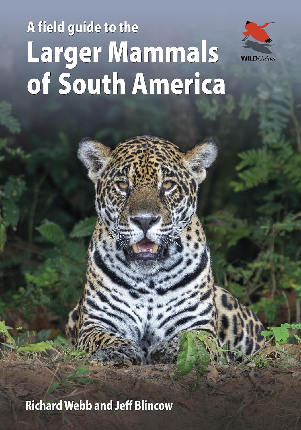 A FIELD GUIDE TO THE LARGER MAMMALS OF SOUTH AMERICA